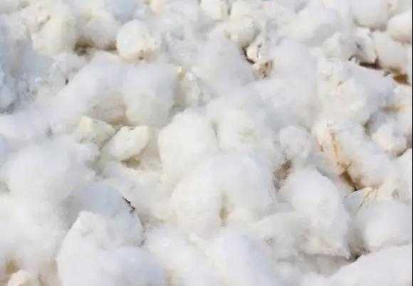 微信圖片_20191009191829.jpg 微信圖片_20191009191829.jpg