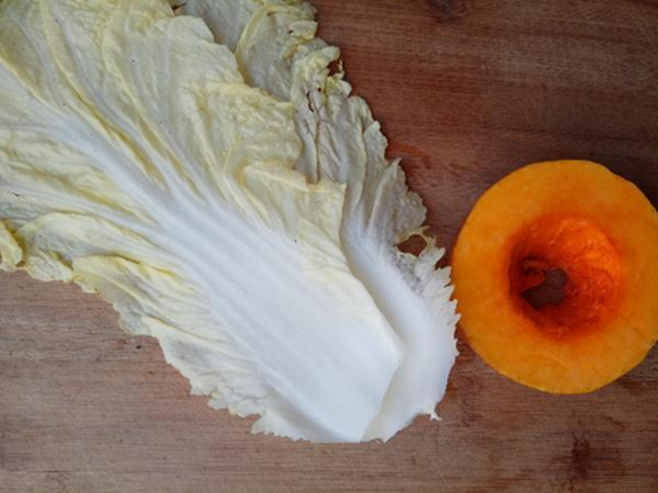 白菜南瓜 白菜南瓜