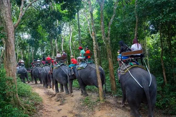 騎象人和大象.jpg 騎象人和大象.jpg